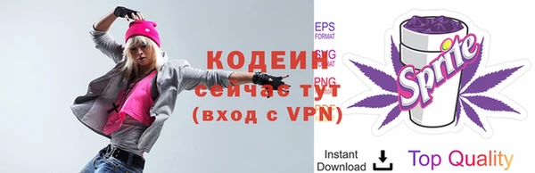 хмурый Армянск