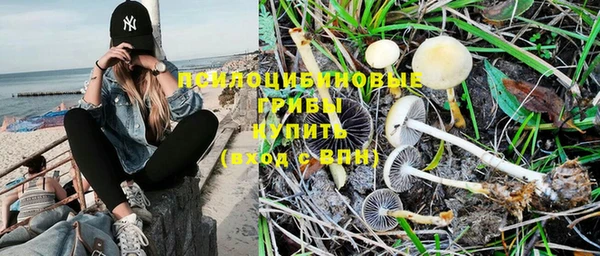 хмурый Армянск